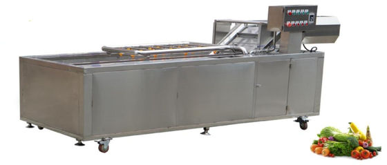 1500Kg/h φυτικός εξοπλισμός πλύσης αλυσίδων δικτύου μετάδοσης μηχανημάτων επεξεργασίας τροφίμων