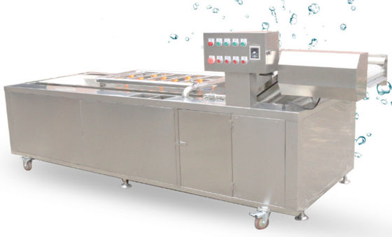 1500Kg/h φυτικός εξοπλισμός πλύσης αλυσίδων δικτύου μετάδοσης μηχανημάτων επεξεργασίας τροφίμων