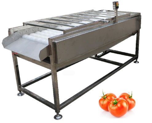 500kg/h εξοπλισμός εργοστασίου επεξεργασίας τροφίμων, φυτικό πλυντήριο βουρτσών φρούτων