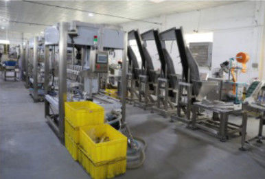 20KW η μηχανή κάλυψης πλήρωσης μπουκαλιών, 1.2T αυτόματο συρρικνώνεται την τυλίγοντας μηχανή