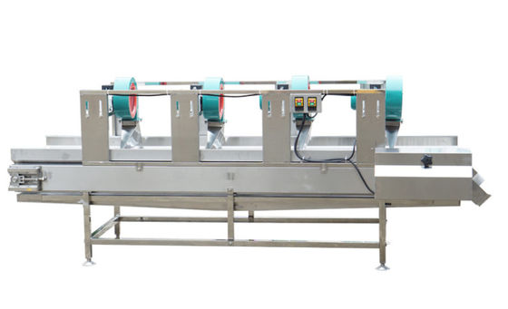 SS304 τα μηχανήματα επεξεργασίας τροφίμων, 500kg/h στεγνώνουν τη μηχανή φρούτων