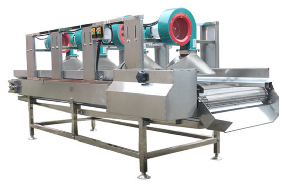 SS304 τα μηχανήματα επεξεργασίας τροφίμων, 500kg/h στεγνώνουν τη μηχανή φρούτων
